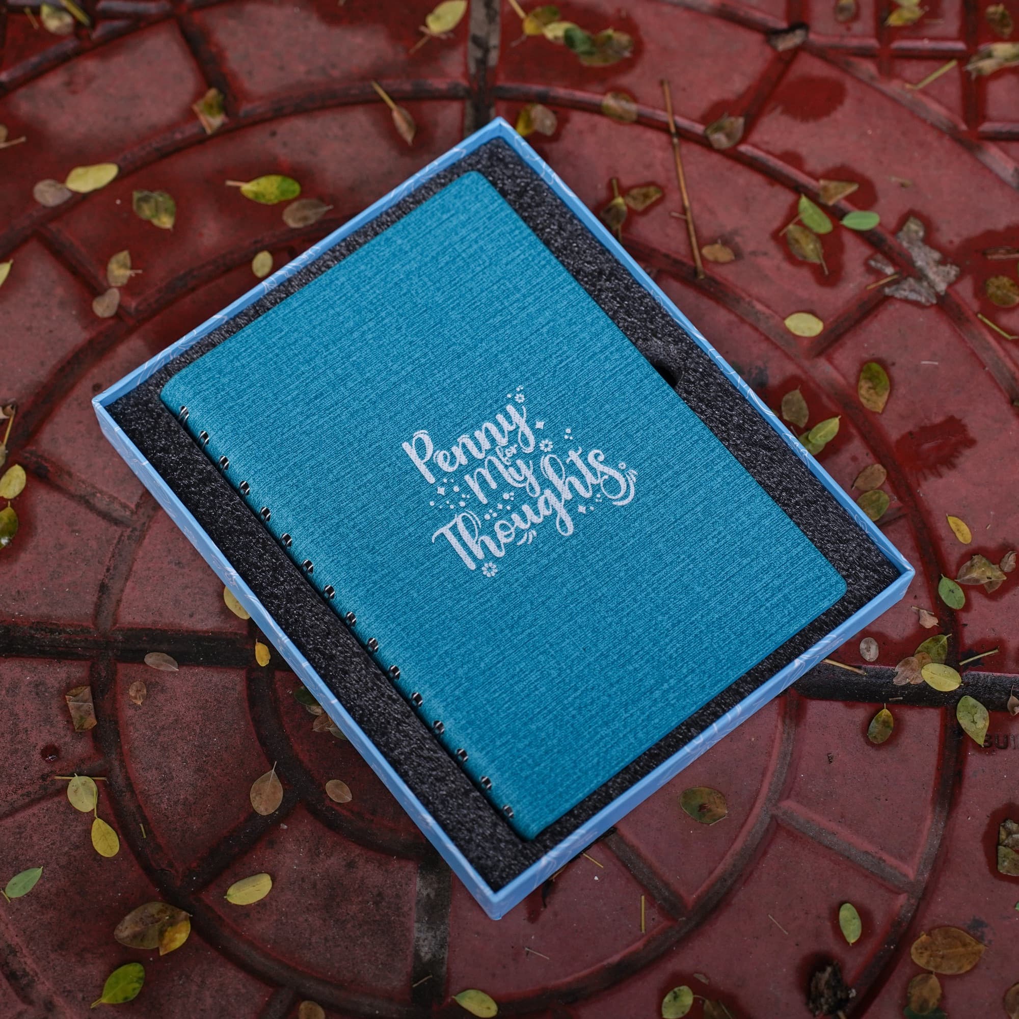 The journal in its gift box